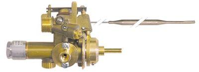 Gastermostat EGA-typ EGA25213 100-250 ° C