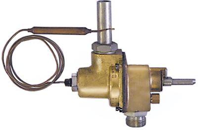 Gastermostat Typ 7620 Maw