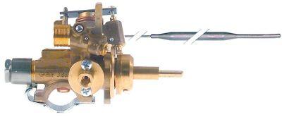 Gastermostat EGA -typ EGA31868