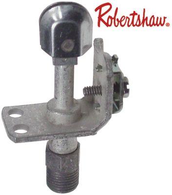 Tändlågebrännare Typ 11EA 1 flamma Flytande gas