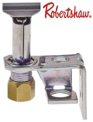 Tändbrännare Robertshaw Type 3Ch-4 med 2 lågor naturgas/F-GA-kändisfigurer 18/10