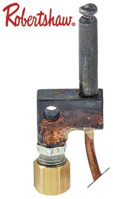 Tändbrännare Robertshaw Type 2 med 2 lågor naturgas/f -gas kändisfigurer -