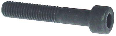 Cylinderhuvudskruv DIN 912/ISO 4762 Tråd M8 L 45mm Steel Galvanized SW 6 Tråd L 30mm