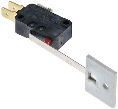 Micro -Contact Grip Operator 250V 16A Anslutning Flat Plug 6.3 mm L 70mm med arm