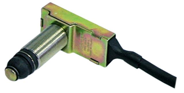 MicroContact Stift Detaljerad 250V 5A 1NO Anslutning Kabeltråd M16x1 med Track Pight