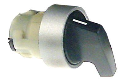 Roterande strömbrytare svart tillfällig