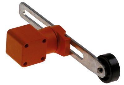 Swing Spake Position Switch