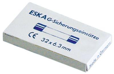 Findsiking 63A SLUGGHISH STYCE 250V VPE 10 st. Storlek Ø6,3x32mm