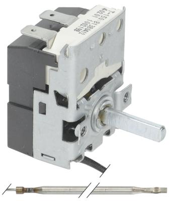 Thermostat Workspace 50-250 ° C