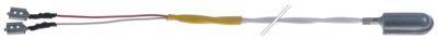 Sonder Pt1000 Kablar PTFE Sonder -100 till +450°C
