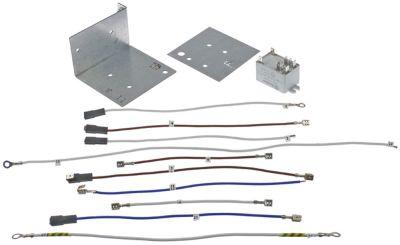 Speciellt 230VAC 30A 2CO-anslutning Flat Sticks 6.3 mm 250V 2-polig uppsättning