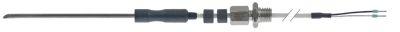 Kärntemperatursonder Pt100 Kablar PTFE
