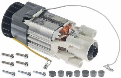 Motor 230V MMP170 50Hz