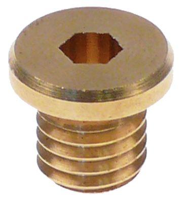 Skruv Gänga M10x1,5 ø 147mm H 13mm SW Insex 5mm