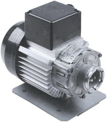 Pumpmotor 300W 230V Anslutning Hem H 170mm L 200mm B 125mm Typ C008406 RPM 50/60Hz