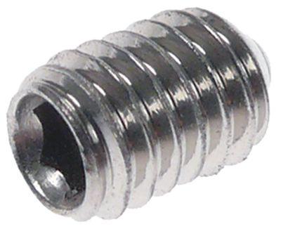 TAP SCREW DIN 914 Tråd M4 L 6mm Rostfritt stål SW 2 Hållare Allen VPE 20 st.