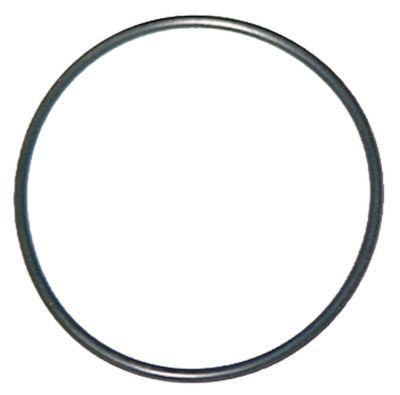 O-ring EPDM Materialstyrka 262mm ID Ø 5842mm VPE 1 ST.