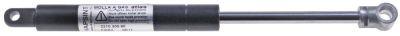 GALLTER LE 315mm Stroke 100mm 8825N LA 300mm D1 Ø 22mm D2 Ø 10 mm hål Ø 8/10mm