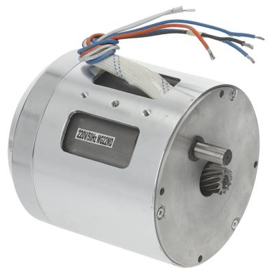 Motor för kötthackmaskin 220V -faser 2 mg22md