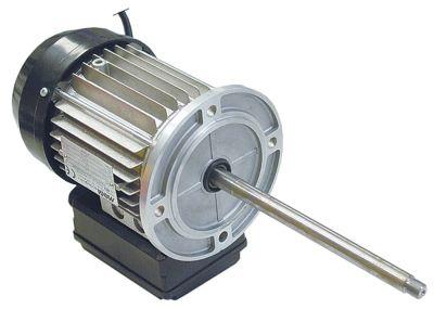 Motor 165W 230V
